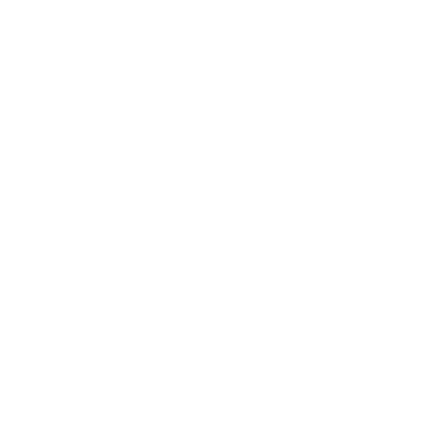 Logo Bijin® branco 500x500